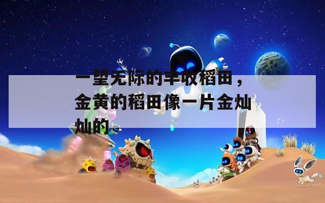 一望无际的丰收稻田，金黄的稻田像一片金灿灿的