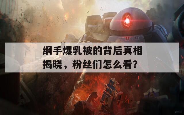 纲手爆乳被的背后真相揭晓，粉丝们怎么看？