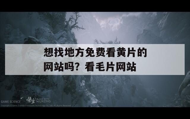 想找地方免费看黄片的网站吗？看毛片网站