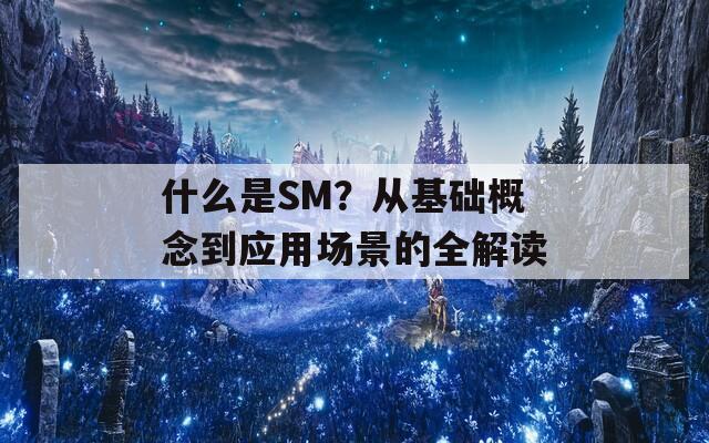 什么是SM？从基础概念到应用场景的全解读