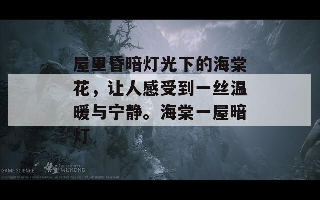 屋里昏暗灯光下的海棠花，让人感受到一丝温暖与宁静。海棠一屋暗灯