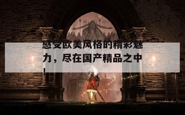 感受欧美风格的精彩魅力，尽在国产精品之中！