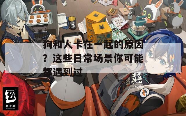 狗和人卡在一起的原因？这些日常场景你可能都遇到过