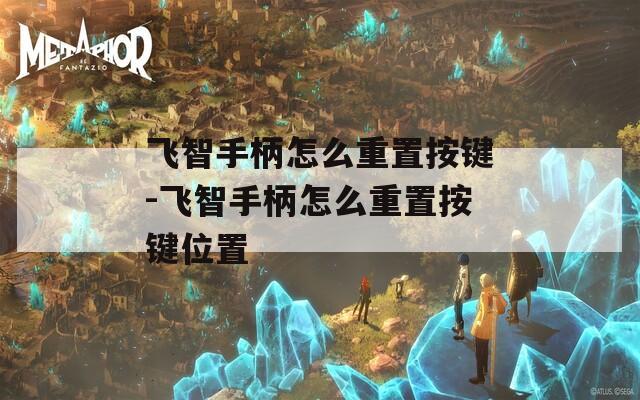 飞智手柄怎么重置按键-飞智手柄怎么重置按键位置
