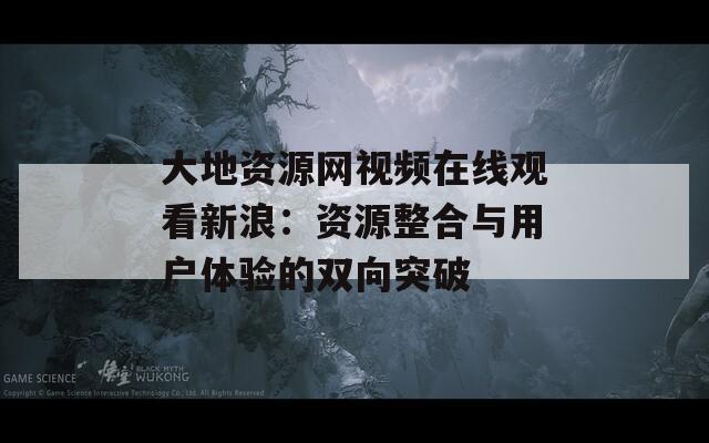 大地资源网视频在线观看新浪：资源整合与用户体验的双向突破