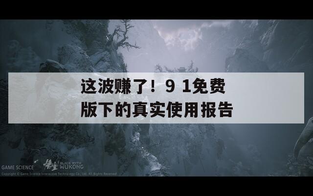 这波赚了！9 1免费版下的真实使用报告