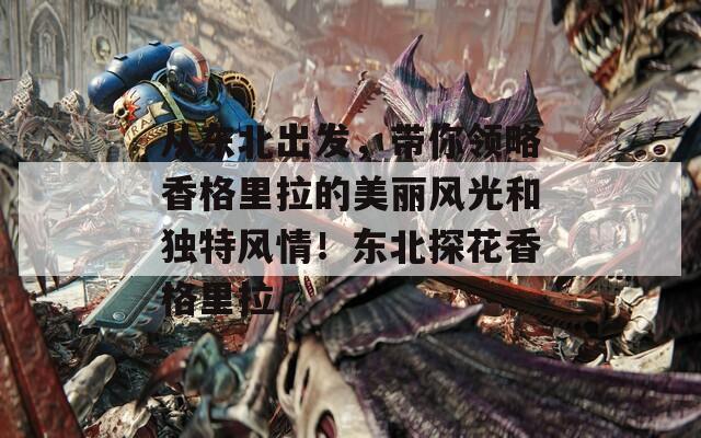 从东北出发，带你领略香格里拉的美丽风光和独特风情！东北探花香格里拉