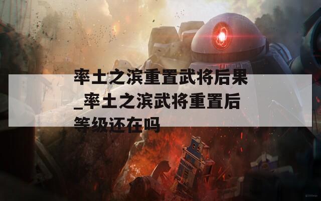 率土之滨重置武将后果_率土之滨武将重置后等级还在吗