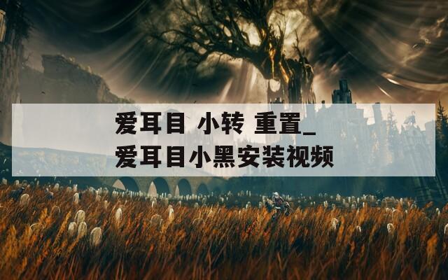 爱耳目 小转 重置_爱耳目小黑安装视频