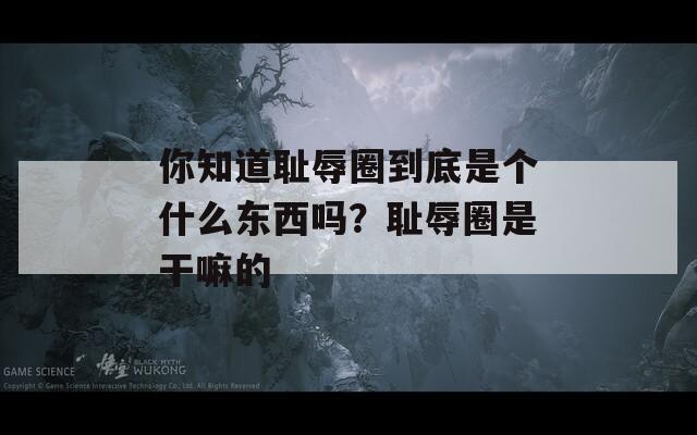 你知道耻辱圈到底是个什么东西吗？耻辱圈是干嘛的