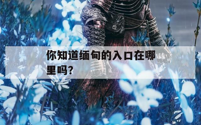 你知道缅甸的入口在哪里吗？
