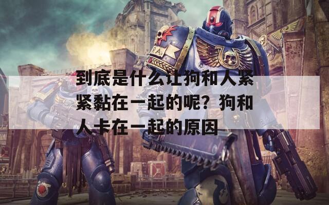 到底是什么让狗和人紧紧黏在一起的呢？狗和人卡在一起的原因