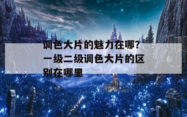 调色大片的魅力在哪？一级二级调色大片的区别在哪里