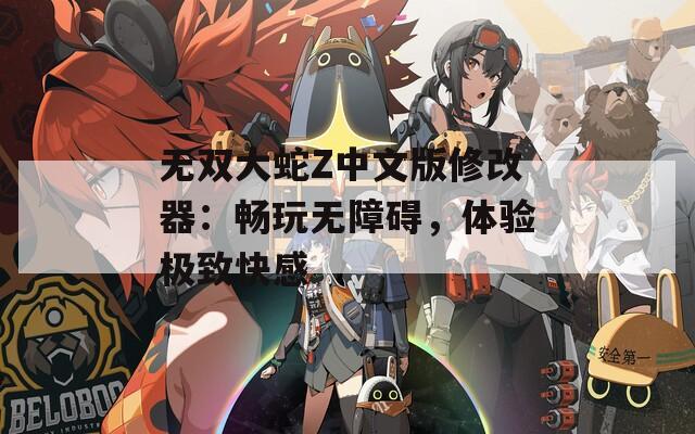 无双大蛇Z中文版修改器：畅玩无障碍，体验极致快感