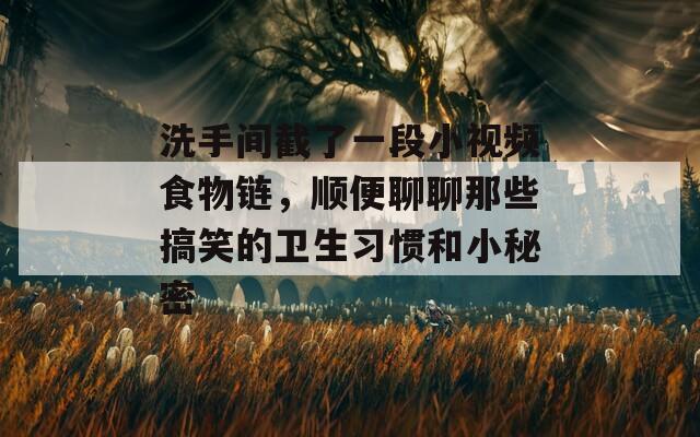 洗手间截了一段小视频食物链，顺便聊聊那些搞笑的卫生习惯和小秘密
