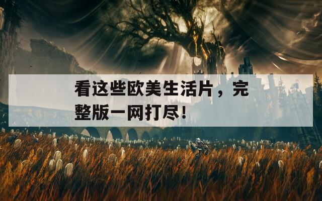看这些欧美生活片，完整版一网打尽！