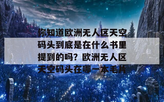 你知道欧洲无人区天空码头到底是在什么书里提到的吗？欧洲无人区天空码头在哪一本毛片