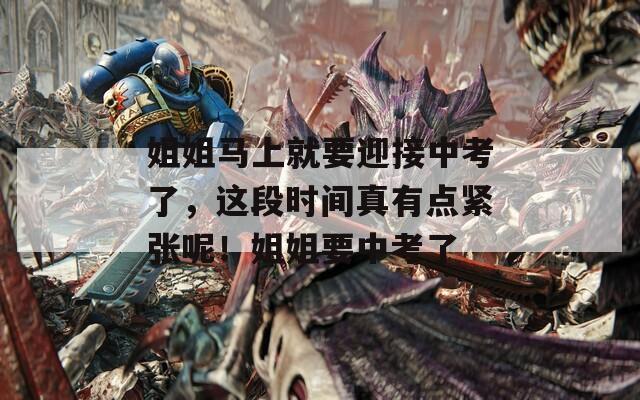姐姐马上就要迎接中考了，这段时间真有点紧张呢！姐姐要中考了