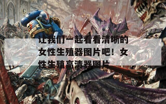 让我们一起看看清晰的女性生殖器图片吧！女性生殖高清器图片