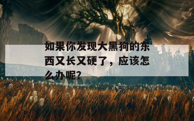 如果你发现大黑狗的东西又长又硬了，应该怎么办呢？