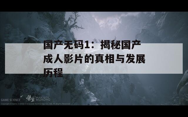 国产无码1：揭秘国产成人影片的真相与发展历程