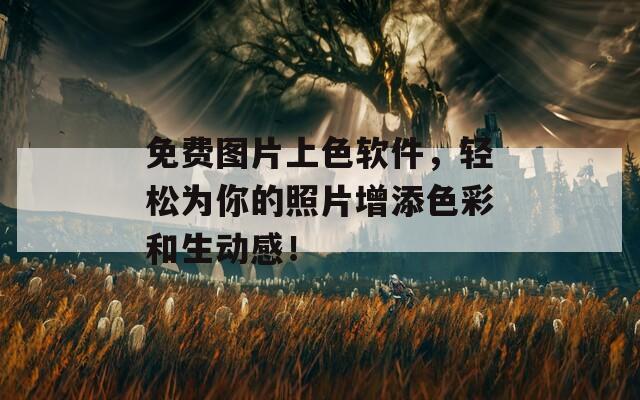 免费图片上色软件，轻松为你的照片增添色彩和生动感！