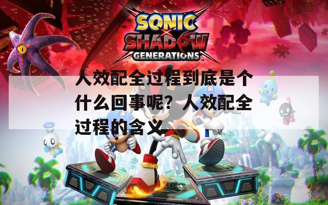 人效配全过程到底是个什么回事呢？人效配全过程的含义