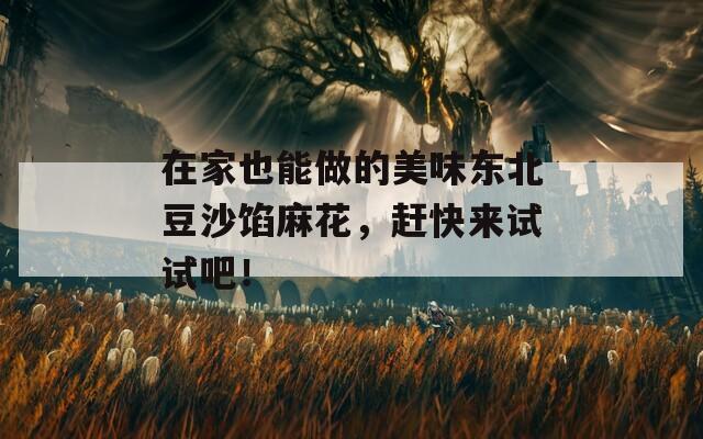 在家也能做的美味东北豆沙馅麻花，赶快来试试吧！