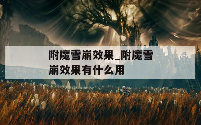 附魔雪崩效果_附魔雪崩效果有什么用