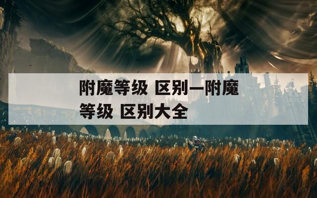 附魔等级 区别—附魔等级 区别大全
