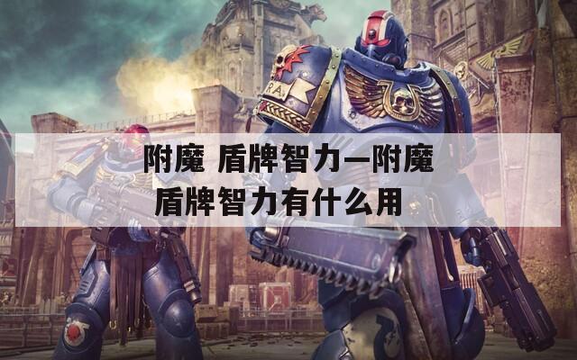 附魔 盾牌智力—附魔 盾牌智力有什么用