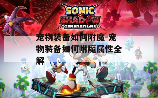 宠物装备如何附魔-宠物装备如何附魔属性全解