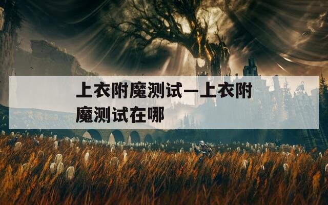 上衣附魔测试—上衣附魔测试在哪