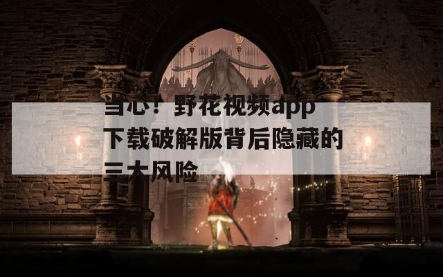 当心！野花视频app下载破解版背后隐藏的三大风险