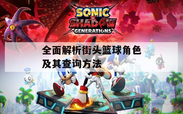 全面解析街头篮球角色及其查询方法