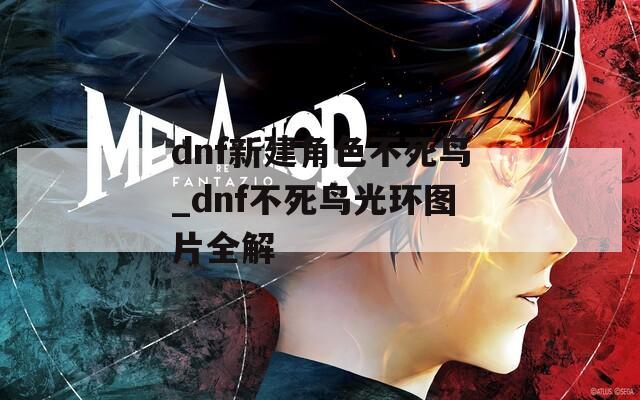 dnf新建角色不死鸟_dnf不死鸟光环图片全解